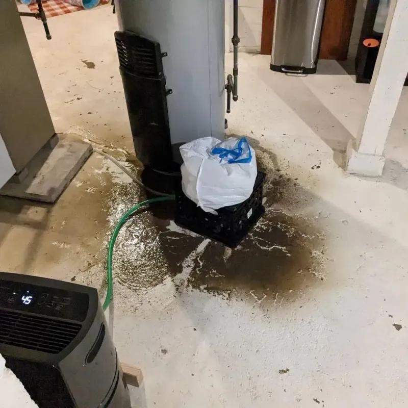 Sewage Backup Cleanup Service in Midway, NC